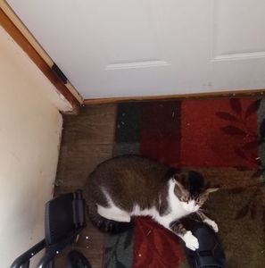 Meet your Posher, Matthew